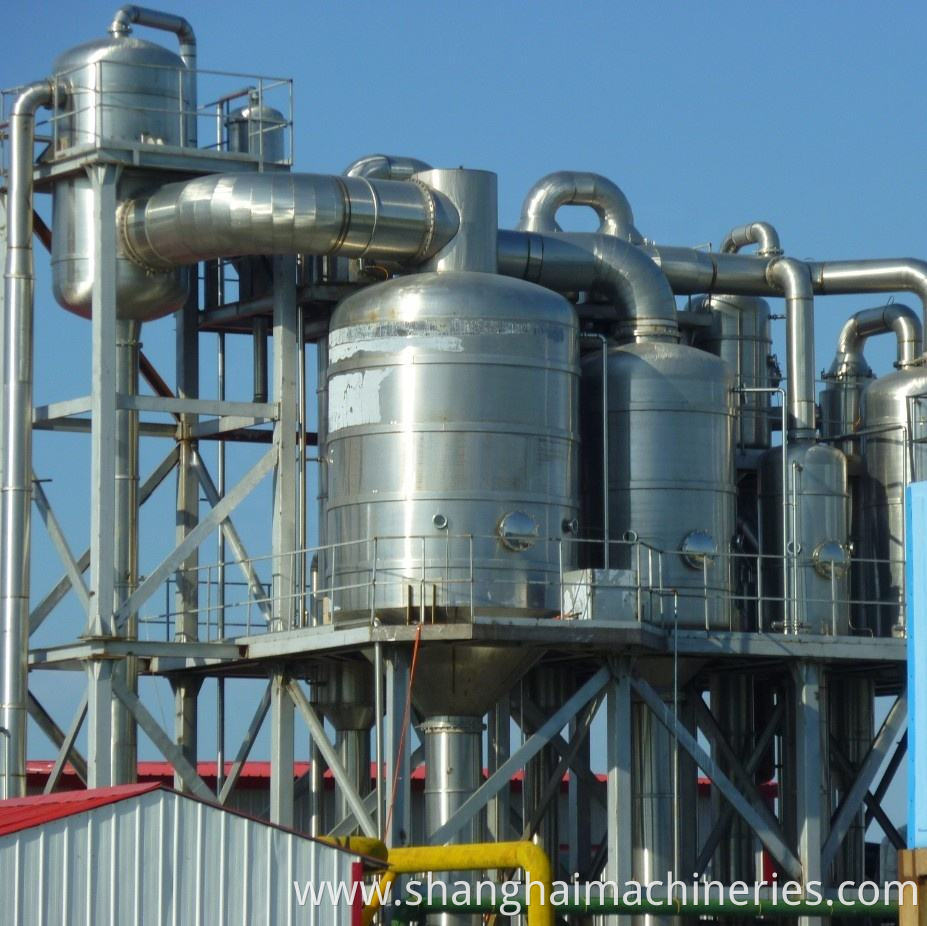 Automatic Tomato Processing Line